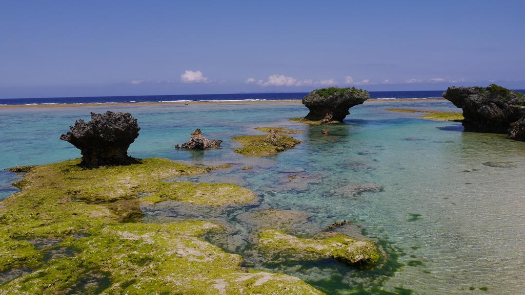 Iyashi No Resort Nakijin Dış mekan fotoğraf